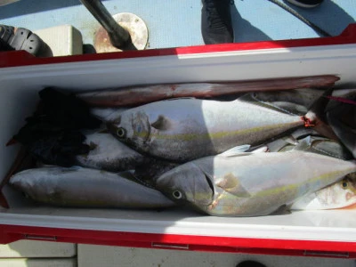 恵比須丸の2025年9月15日(月)3枚目の写真