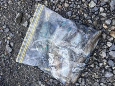 あみや渡船の2025年9月26日(金)3枚目の写真