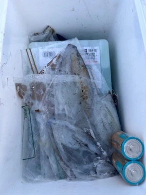 あみや渡船の2025年9月26日(金)4枚目の写真