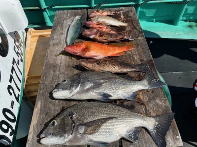 とせん丸の2025年9月26日(金)1枚目の写真