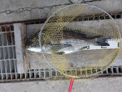 ヨシダマリンの2025年9月19日(金)1枚目の写真