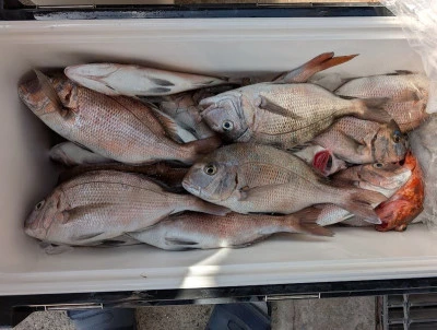 ヨシダマリンの2025年9月21日(日)1枚目の写真