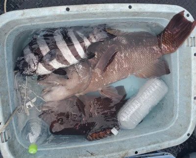 栄勇丸渡船の2025年9月27日(土)3枚目の写真