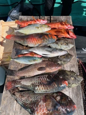 とせん丸の2025年9月27日(土)1枚目の写真