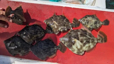 優誠丸の2025年9月21日(日)4枚目の写真