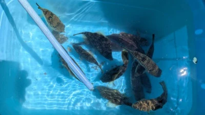 優誠丸の2025年9月21日(日)5枚目の写真