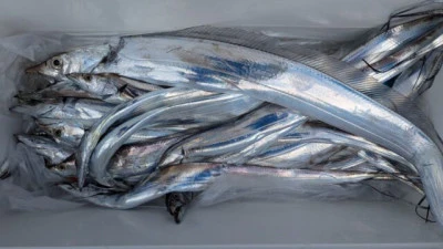 優誠丸の2025年9月22日(月)1枚目の写真