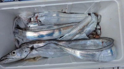 優誠丸の2025年9月22日(月)2枚目の写真