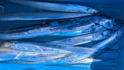 優誠丸の2025年9月22日(月)3枚目の写真