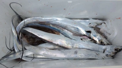 優誠丸の2025年9月23日(火)3枚目の写真