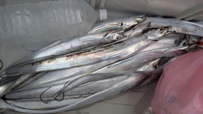 優誠丸の2025年9月23日(火)4枚目の写真