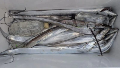 優誠丸の2025年9月23日(火)5枚目の写真