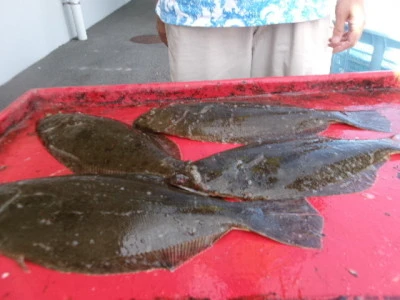 奥村釣船の2025年9月26日(金)4枚目の写真