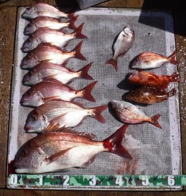 敏栄丸の2025年9月21日(日)1枚目の写真