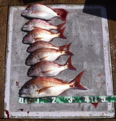 敏栄丸の2025年9月21日(日)2枚目の写真