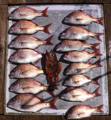 敏栄丸の2025年9月21日(日)3枚目の写真