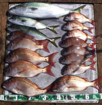 敏栄丸の2025年9月22日(月)2枚目の写真