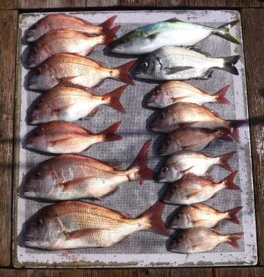 敏栄丸の2025年9月27日(土)1枚目の写真