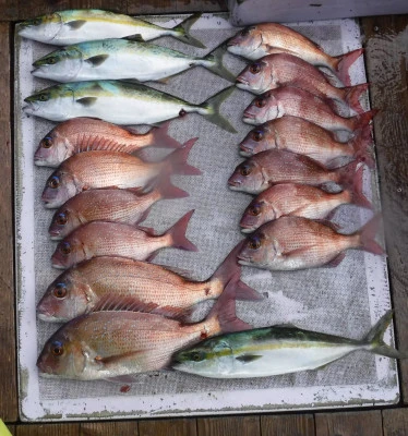 敏栄丸の2025年9月27日(土)2枚目の写真