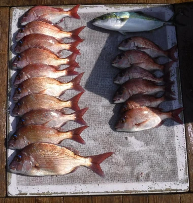 敏栄丸の2025年9月27日(土)3枚目の写真