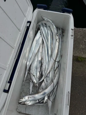 MISTERこーじの2025年9月27日(土)2枚目の写真