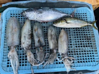 とせん丸の2025年9月28日(日)1枚目の写真