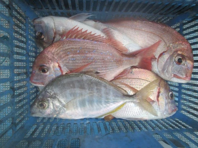 松福丸の2025年9月15日(月)1枚目の写真