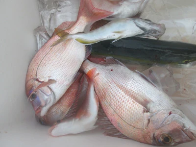 松福丸の2025年9月15日(月)3枚目の写真