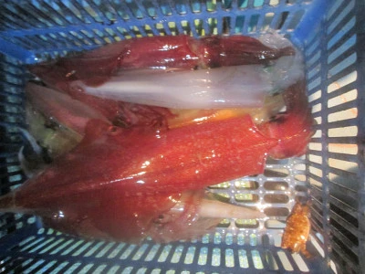 松福丸の2025年9月15日(月)4枚目の写真