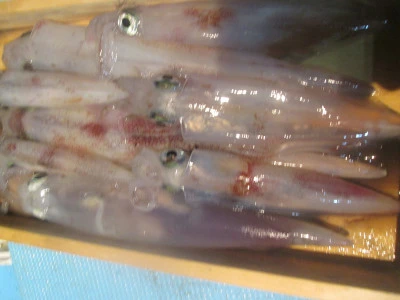 松福丸の2025年9月15日(月)5枚目の写真