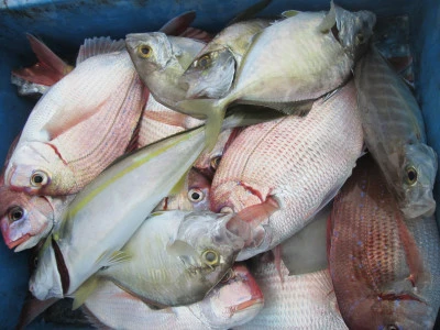 松福丸の2025年9月23日(火)5枚目の写真