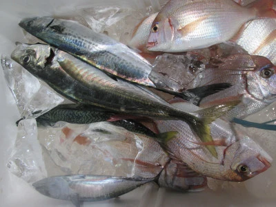 松福丸の2025年9月24日(水)3枚目の写真