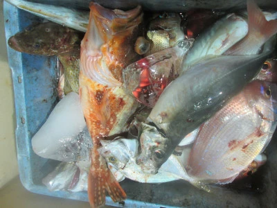 松福丸の2025年9月25日(木)5枚目の写真