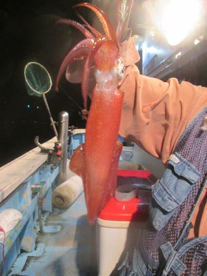 松福丸の2025年9月26日(金)4枚目の写真