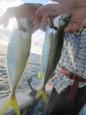 松福丸の2025年9月26日(金)5枚目の写真