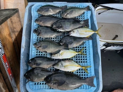 とせん丸の2025年9月30日(火)2枚目の写真