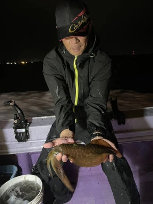 海龍丸の2025年9月30日(火)2枚目の写真