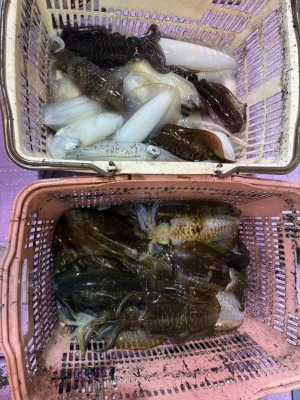 海龍丸の2025年9月30日(火)3枚目の写真