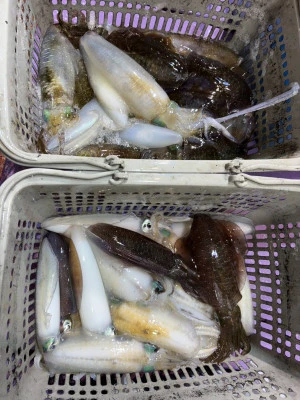 海龍丸の2025年9月30日(火)4枚目の写真