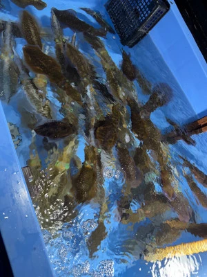 佑美丸の2025年9月27日(土)3枚目の写真