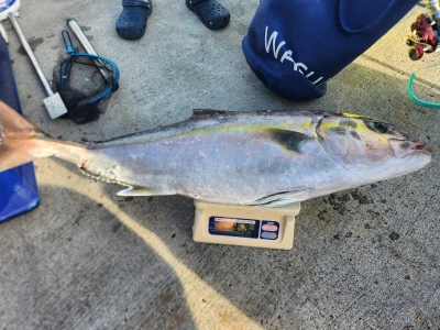 重郎平丸の2025年10月2日(木)5枚目の写真