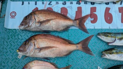 優誠丸の2025年10月3日(金)2枚目の写真