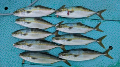 優誠丸の2025年10月4日(土)1枚目の写真