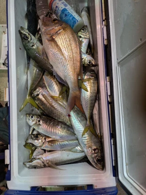 吉栄丸の2025年10月4日(土)1枚目の写真