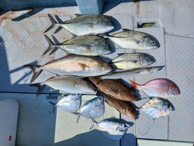 第一寿海丸の2025年10月6日(月)5枚目の写真