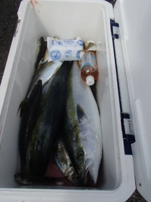 村井丸の2025年10月6日(月)4枚目の写真