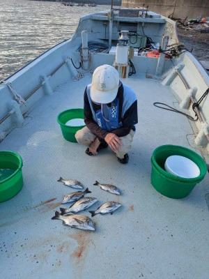安乗釣センターの2025年10月6日(月)2枚目の写真