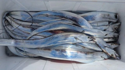 優誠丸の2025年10月5日(日)3枚目の写真