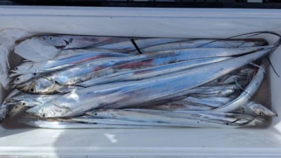 優誠丸の2025年10月5日(日)4枚目の写真