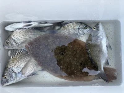 金丸渡船の2025年10月7日(火)4枚目の写真